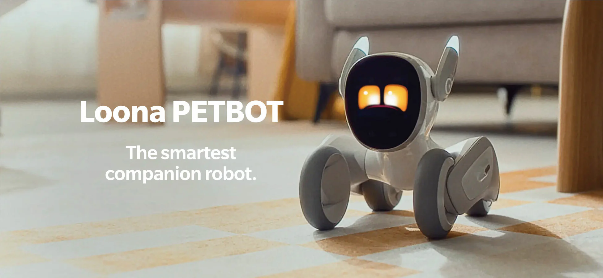 Carelio Can Robot